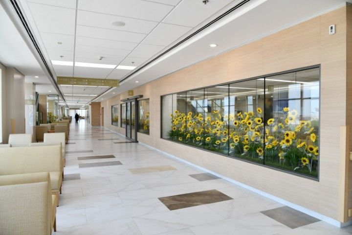 RMS | Royal Medical Services